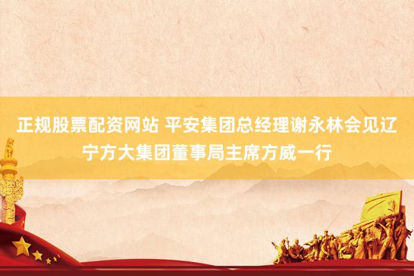 正规股票配资网站 平安集团总经理谢永林会见辽宁方大集团董事局主席方威一行