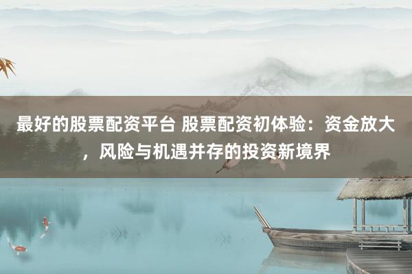 最好的股票配资平台 股票配资初体验：资金放大，风险与机遇并存的投资新境界