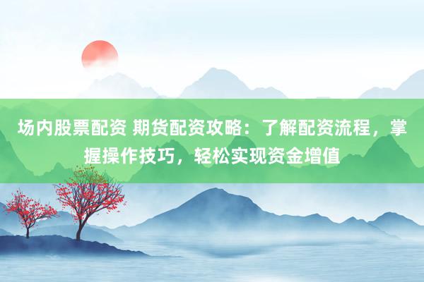 场内股票配资 期货配资攻略：了解配资流程，掌握操作技巧，轻松实现资金增值