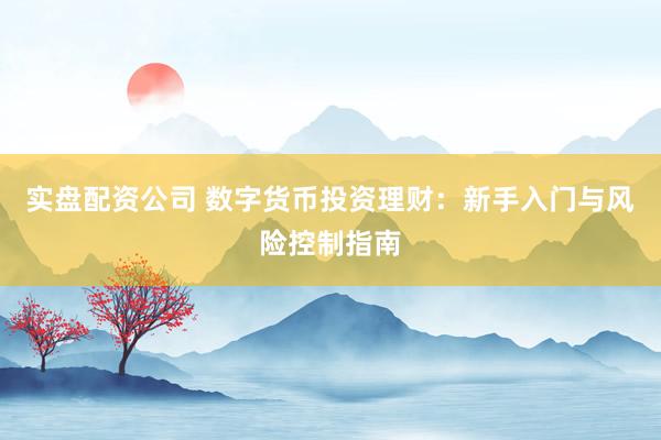 实盘配资公司 数字货币投资理财：新手入门与风险控制指南