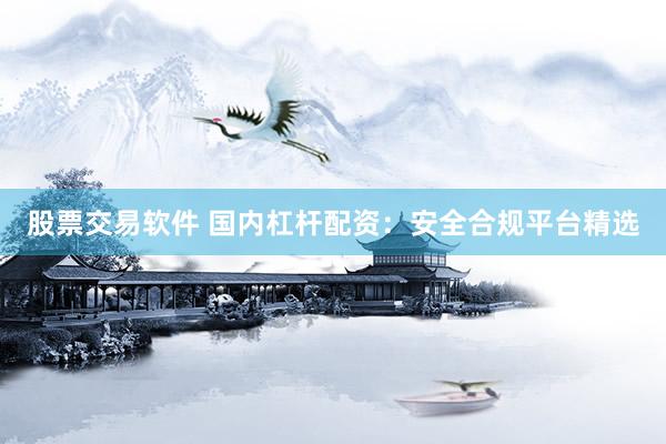 股票交易软件 国内杠杆配资：安全合规平台精选