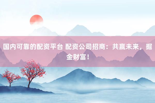 国内可靠的配资平台 配资公司招商：共赢未来，掘金财富！