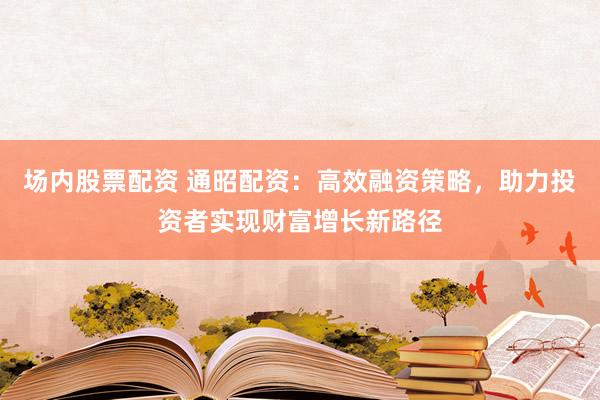 场内股票配资 通昭配资：高效融资策略，助力投资者实现财富增长新路径