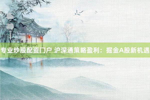 专业炒股配资门户 沪深通策略盈利：掘金A股新机遇