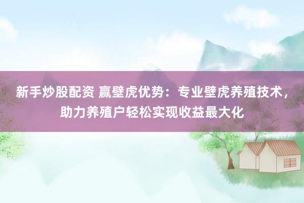 新手炒股配资 赢壁虎优势：专业壁虎养殖技术，助力养殖户轻松实现收益最大化