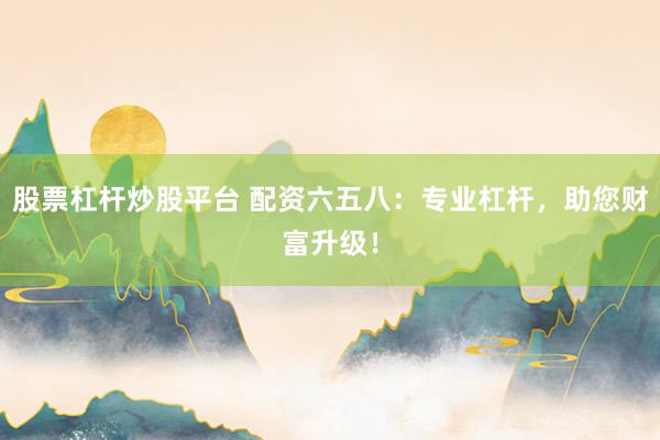 股票杠杆炒股平台 配资六五八:专业杠杆,助您财富升级!