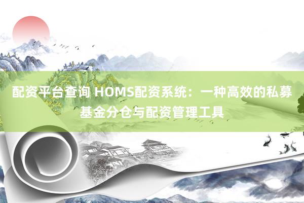 配资平台查询 HOMS配资系统:一种高效的私募基金分仓与配资管理工具
