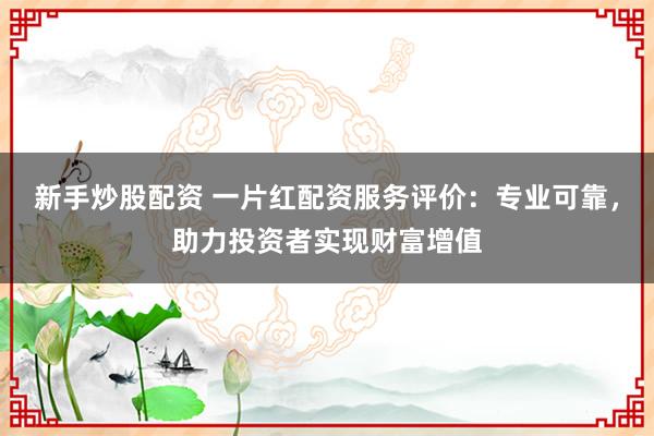 新手炒股配资 一片红配资服务评价:专业可靠,助力投资者实现财富增值