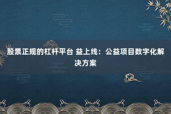 股票正规的杠杆平台 益上线：公益项目数字化解决方案