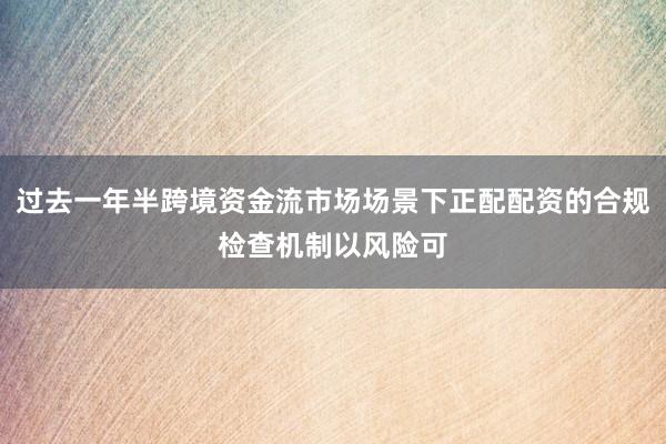 过去一年半跨境资金流市场场景下正配配资的合规检查机制以风险可
