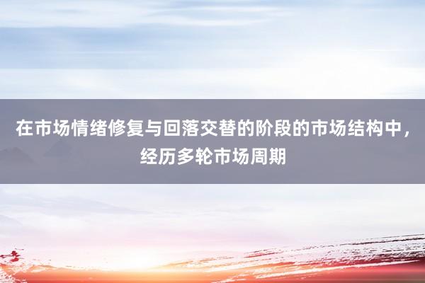 在市场情绪修复与回落交替的阶段的市场结构中，经历多轮市场周期
