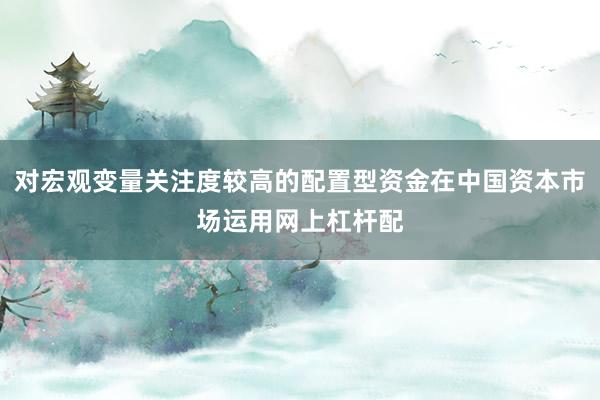 对宏观变量关注度较高的配置型资金在中国资本市场运用网上杠杆配