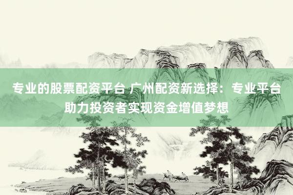 专业的股票配资平台 广州配资新选择：专业平台助力投资者实现资金增值梦想